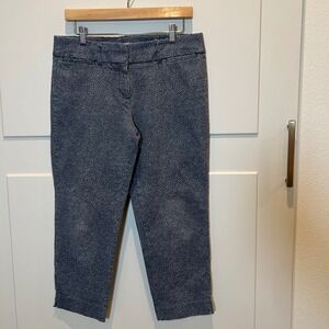 Ann Taylor LOFT Marisa Riviera Pants Women's Size 8 Blue White Dot Print Cropped